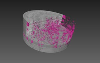 Synchrotrone porosity plant tissue